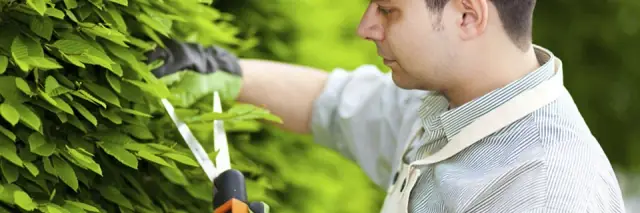 DJ Tree Services cover