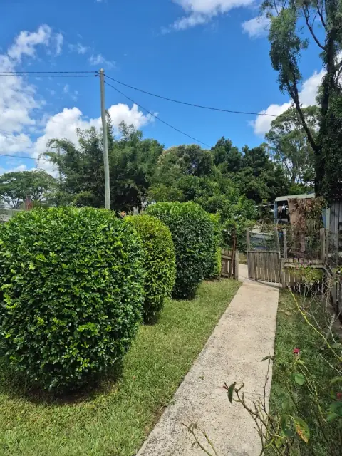 DK lawn mowing