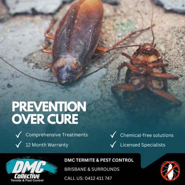 DMC Termite and Pest Control cover