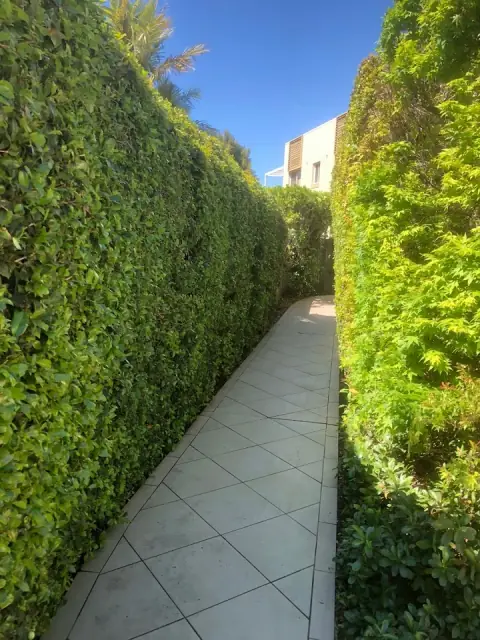 Dolphin Property Maintenance & Strata cover