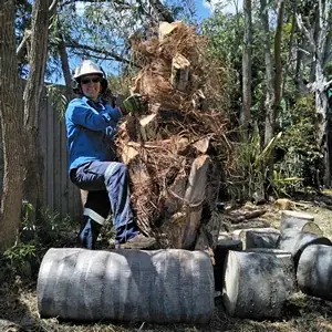 Domestic Tree Care