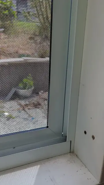 Dowell Windows cover