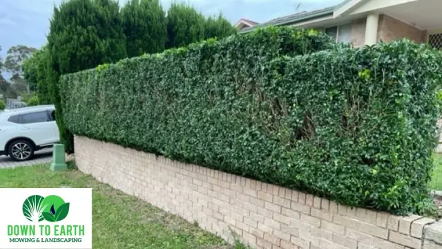 Down to Earth Mowing and Landscaping cover