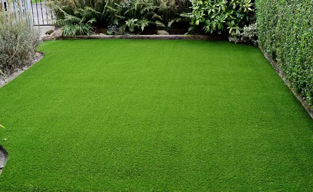 Dr Turf