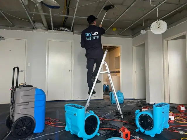 Drylux Mould remediation