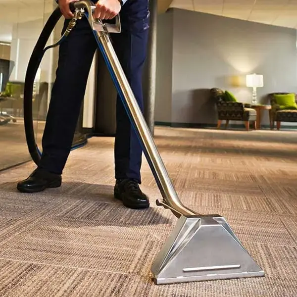 Drymaster Carpet Cleaning Newcastle cover