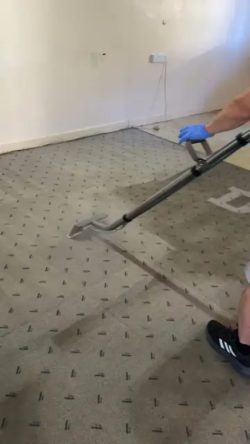 DTC Carpet Cleaning cover