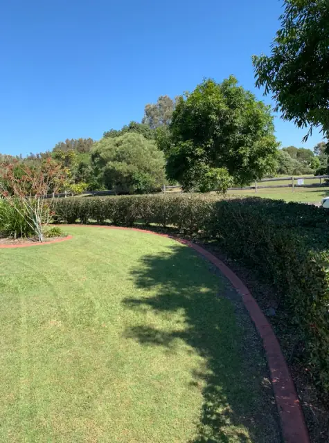 Dylan's Mowing cover