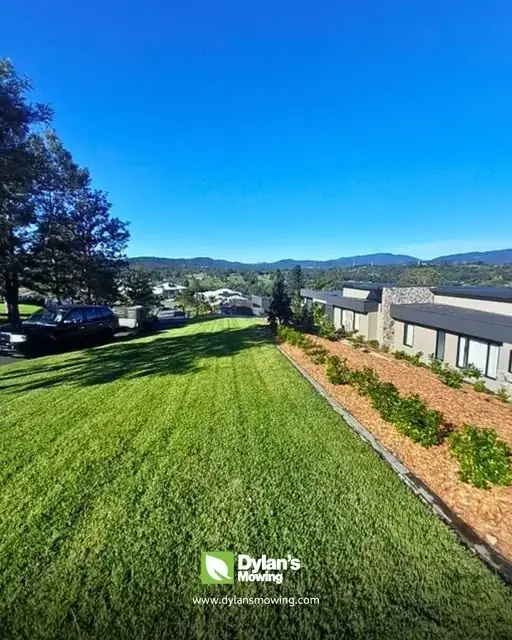 Dylan's Mowing cover