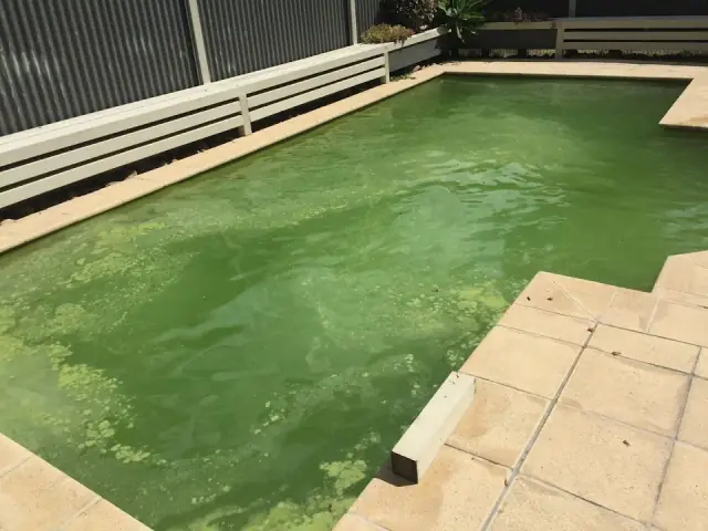 Dynamic Pool Services cover