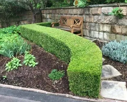 E.K Lawn & Garden Services cover