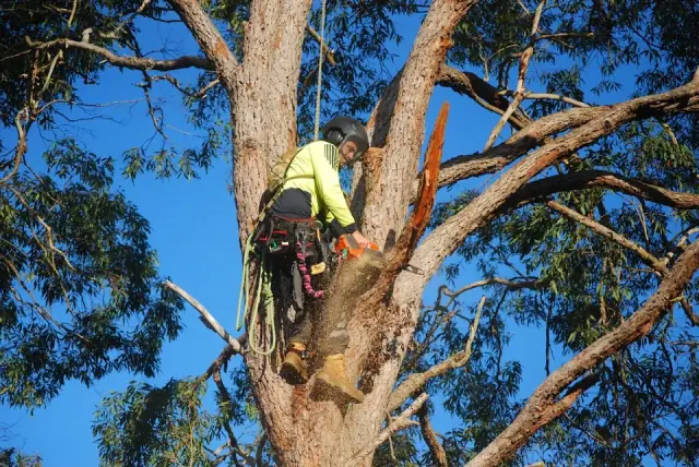 Transform Tree Care
