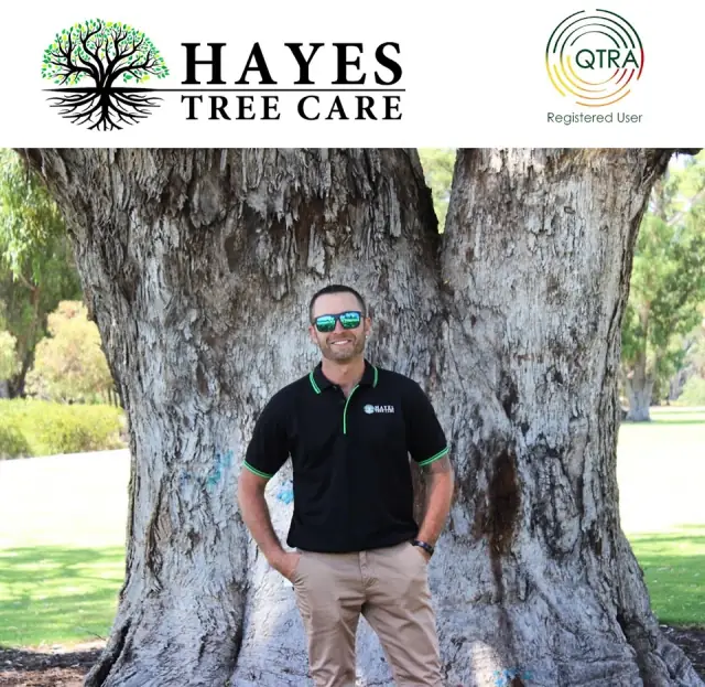 Hayes Tree Care