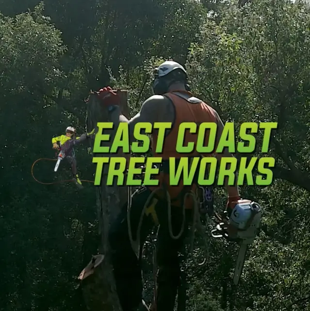 East Coast Tree Works - Sunshine Coast