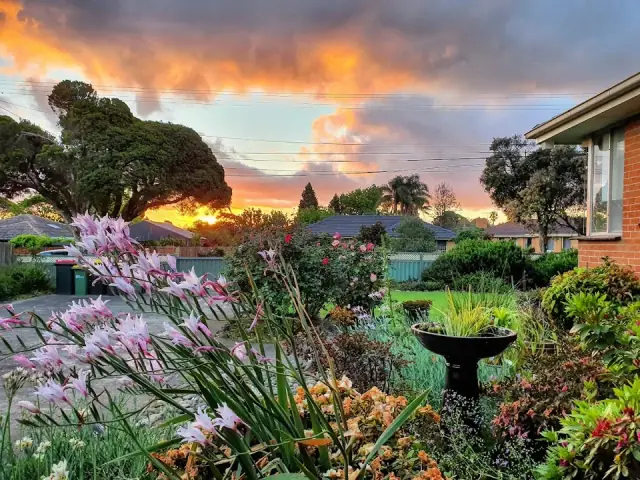 East Evergreen Gardening Services