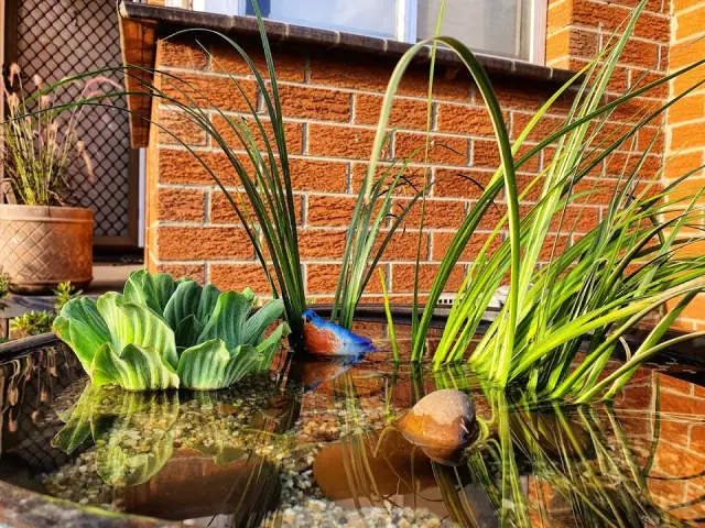 East Evergreen Gardening Services cover