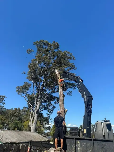 EasyCut Tree Services cover