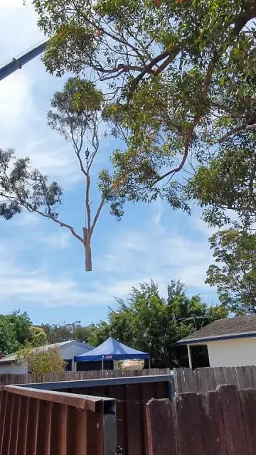 Eclipse Tree Services cover