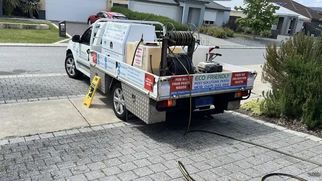 Eco Friendly Pest Solutions