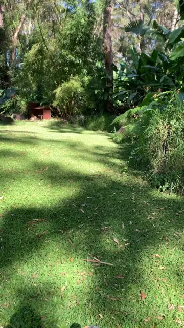 Eco Noosa cover