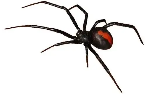 Eco Pest Control cover