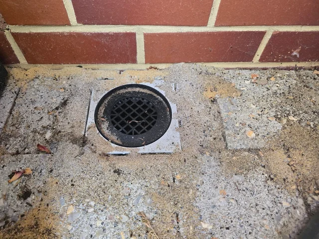 Eco Safe Pest Control Perth