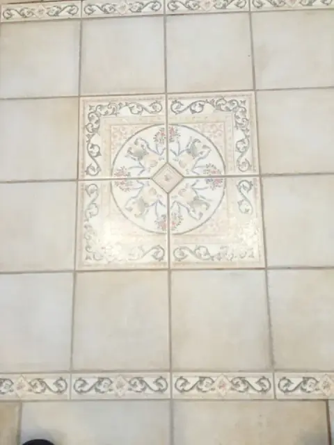 Ecodry Carpet and Tile cleaning cover