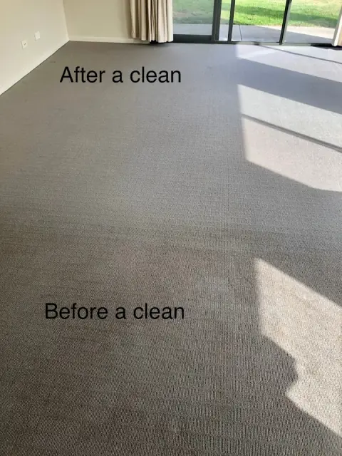 Ecodry Carpet and Tile cleaning