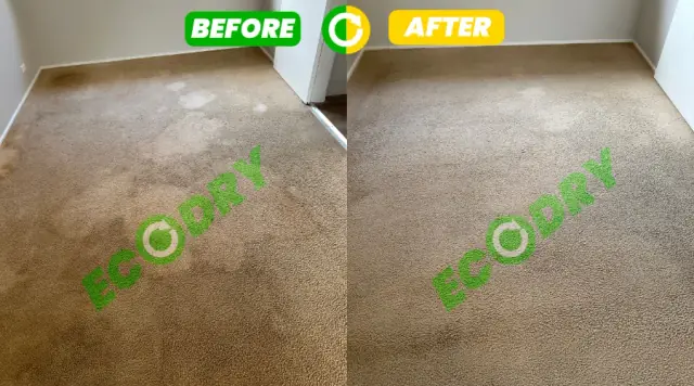 Ecodry Carpet Cleaning Canberra cover