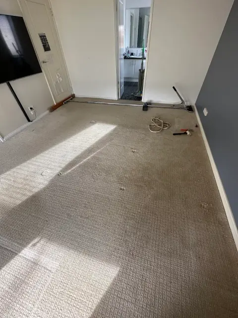 EcoFresh Cleaning cover