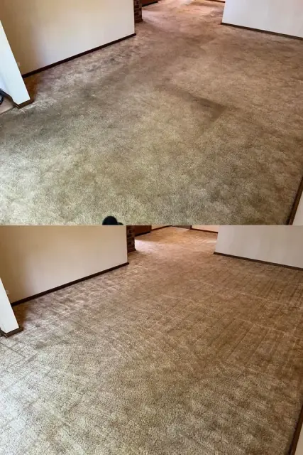 Ecolux Carpet Cleaning