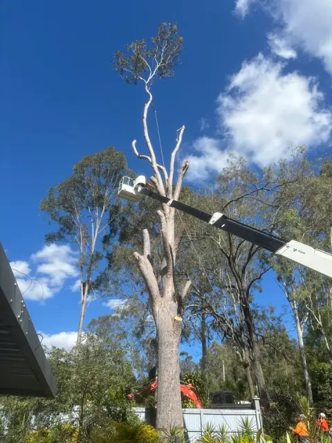 Treesafe Environmental Services