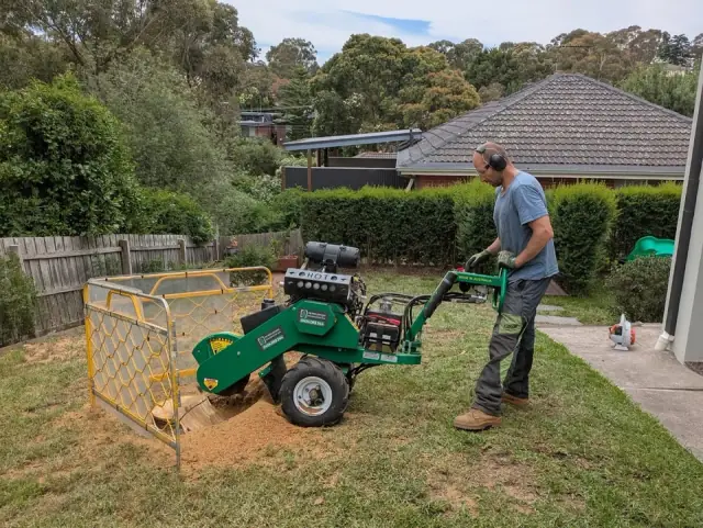Eid Tree Services cover