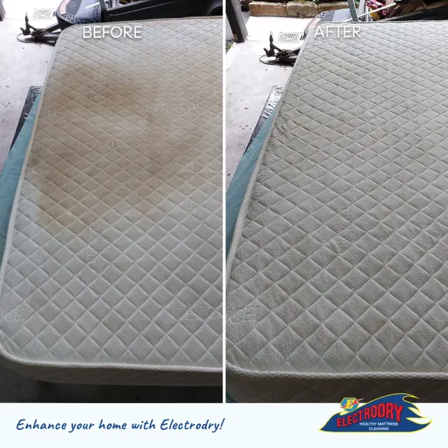 Electrodry Carpet Dry Cleaning Newcastle cover