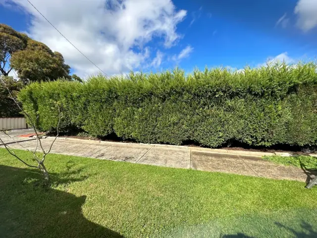 Eley Property Maintenance cover