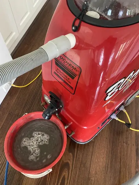 Eli Cleaning cover