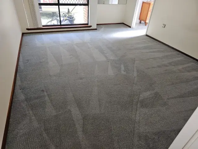 Elite Carpet Dry Cleaning - Perth cover