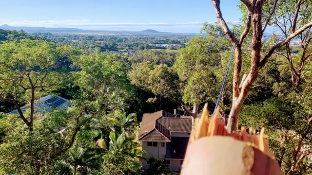 Elite Tree Company