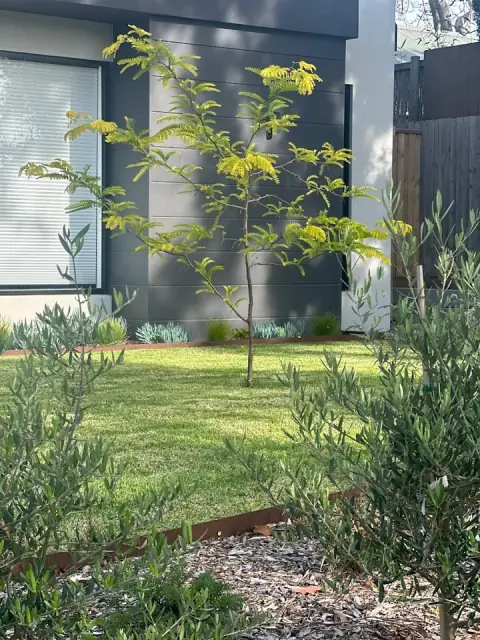 Elysian Landscape & Irrigation