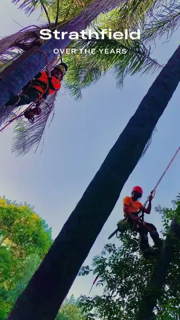 Enviro Tree Works cover