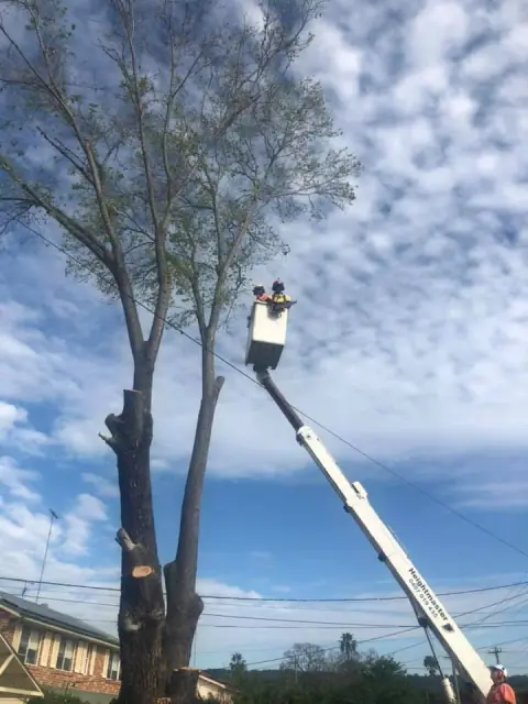 ENVIRO TREE WORKS