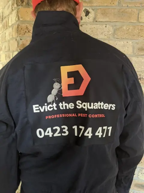 Evict the Squatters - Professional Pest Control cover