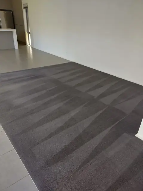 Exit Carpet Clean