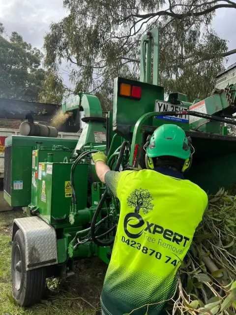 Expert Tree Removal Pty Ltd - Rouse Hill cover