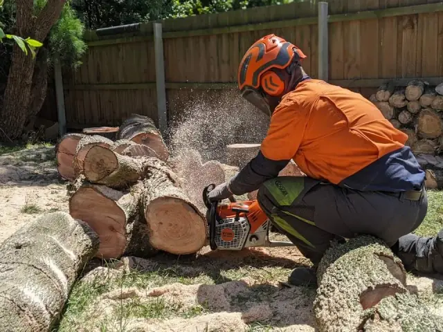 Explore Tree Management cover