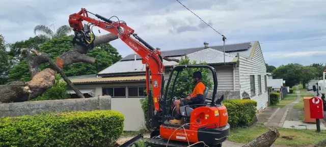 EZ-AS TREE SERVICE cover