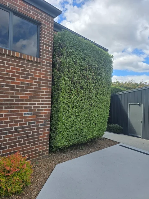 EZE Lawn cover