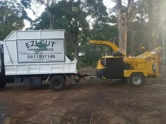 Ezi cut tree services