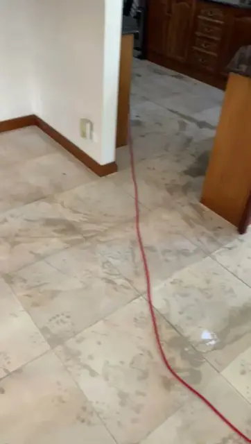 Fantastic Tile Cleaning cover