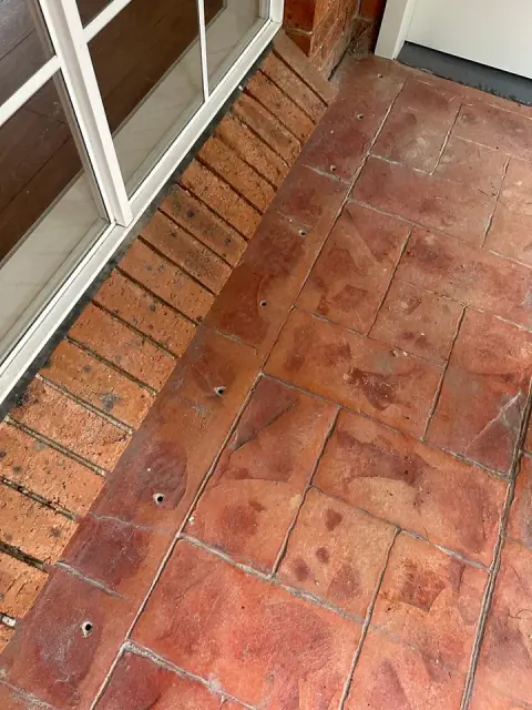 Knock-Down Pest Control cover
